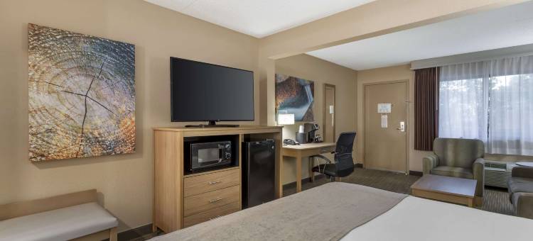 兰丁景观贝斯特韦斯特优质套房酒店(Best Western Plus Landing View Inn  Suites)图片