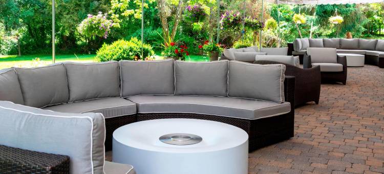 巴斯金里奇万豪德尔塔酒店(Delta Hotels Basking Ridge)图片