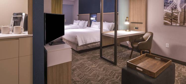 菲什基尔SpringHill Suites酒店(SpringHill Suites Fishkill)图片