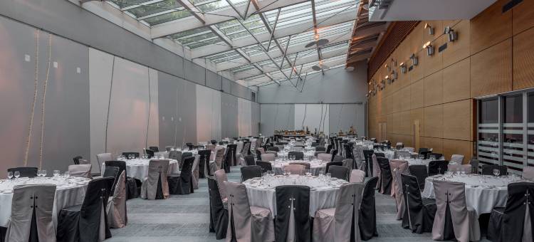 希尔顿日内瓦会议中心酒店(Hilton Geneva Hotel and Conference Centre)图片