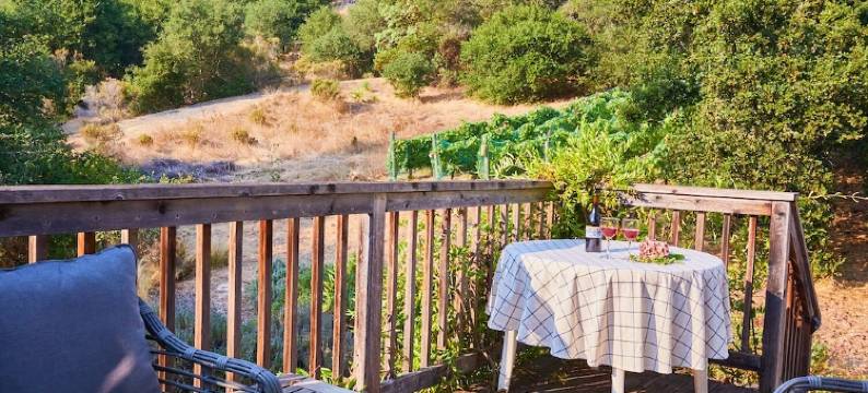 Studio cottage retreat in a vineyard setting图片