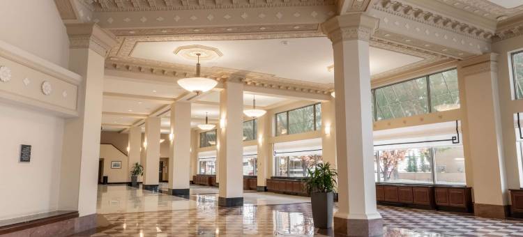 威奇托博文德鲁里广场酒店(Drury Plaza Hotel Broadview Wichita)图片