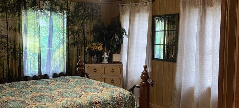 舒适温馨距瓦希塔湖北端仅数分钟的度假木屋.(“Comfy Cozy Rental Cabin” Just Minutes from the North End of Lake Quachita.)图片