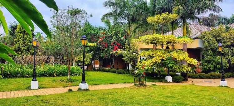 黄竹水疗度假村(The Yellow Bamboo Resort & Spa)图片