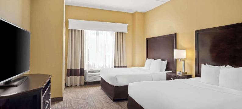 弗赖拉辛舒适套房酒店(Comfort Suites Frisco)图片