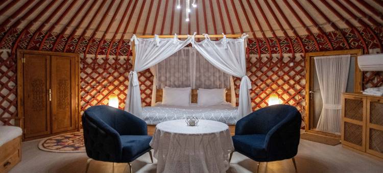 哈亚尔塔迪纳(Hayal Tadında)图片