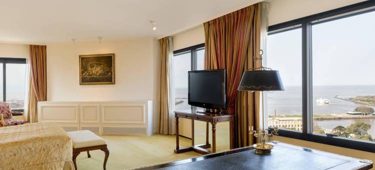 布宜诺斯艾利斯喜来登会议中心酒店(Sheraton Buenos Aires Hotel & Convention Center)图片