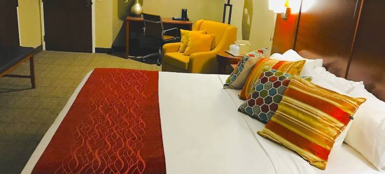 伊利 - 普雷斯克岛附近舒适酒店(Comfort Inn, Erie - Near Presque Isle)图片