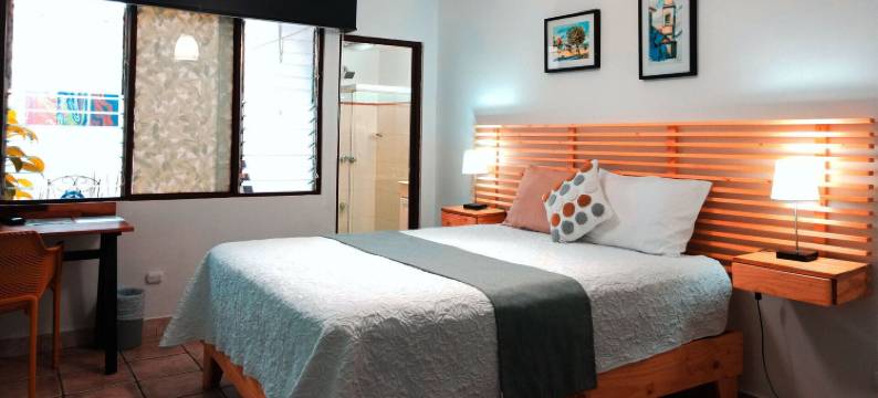 黄金三叶草床和早餐(Trebol Amarillo Bed & Breakfast)图片