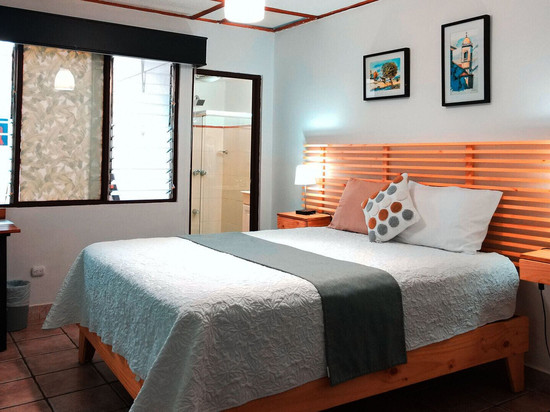 黄金三叶草床和早餐