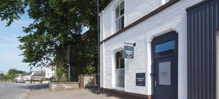 唐赖特加布勒(Downright Gabbler)图片