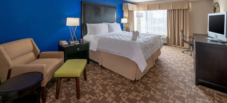 Holiday Inn 马纳萨斯 - 战场(Holiday Inn MANASSAS - BATTLEFIELD by IHG)图片