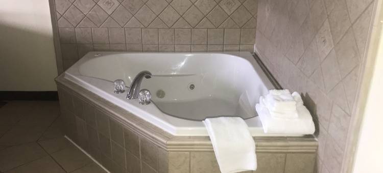 印第安纳波利斯机场温德姆麦客达酒店(Microtel Inn & Suites by Wyndham Indianapolis Airport)图片