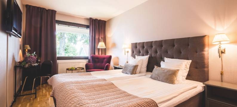 贝尔维尤酒店(Hotel Bellevue)图片