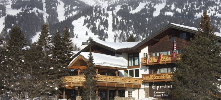 阿尔彭霍夫酒店(The Alpenhof)图片