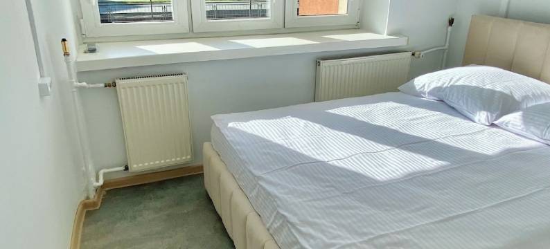 和谐旅馆(Hostel Harmonia)图片