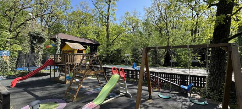 猎人角酒店(Hotel Cornul Vanatorului)图片