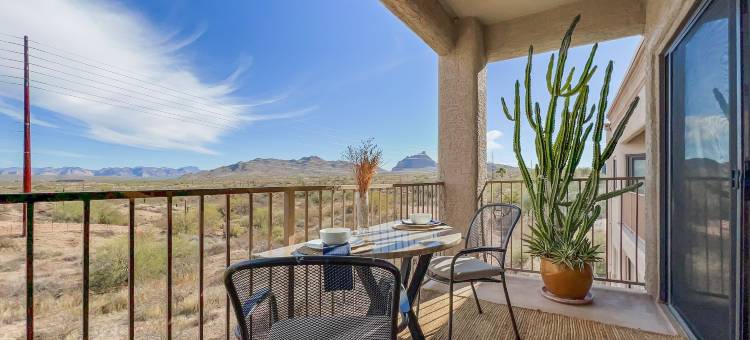 仙人掌 #202 喷泉山(Saguaro #202 Fountain Hills)图片