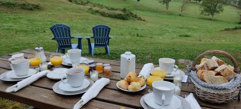 克里斯蒂娜·斯库夫莱尔(Christine Scuflaire)图片