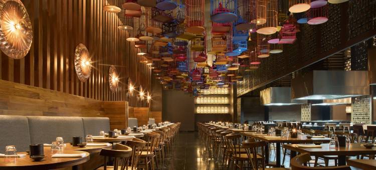 卡瑞特艺术酒店 - 全公园 - 全乐趣全包(Hotel Xcaret Arte - All Parks All Fun Inclusive - Adults Only)图片