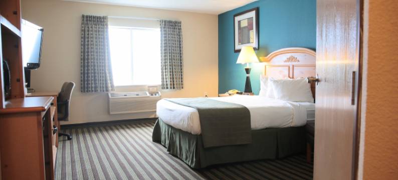 美国套房酒店(American Inn and Suites)图片