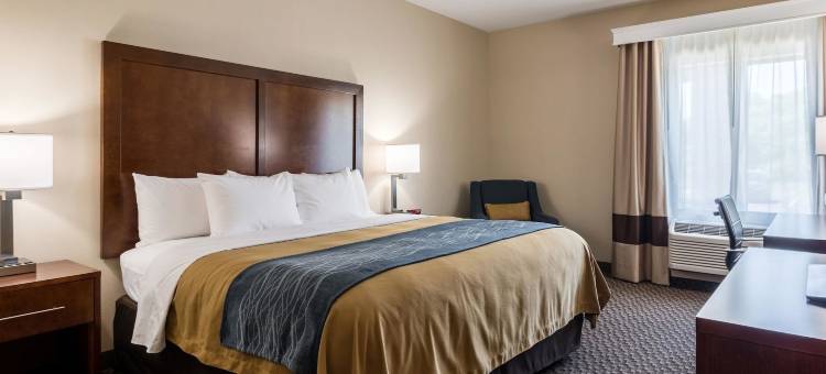 爱德华兹维尔圣路易斯舒适酒店(Comfort Inn Edwardsville - St Louis)图片