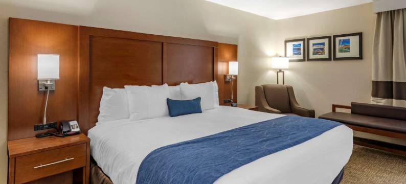 纳什维尔-欧普兰区舒适酒店(Comfort Inn Nashville - Opryland Area)图片