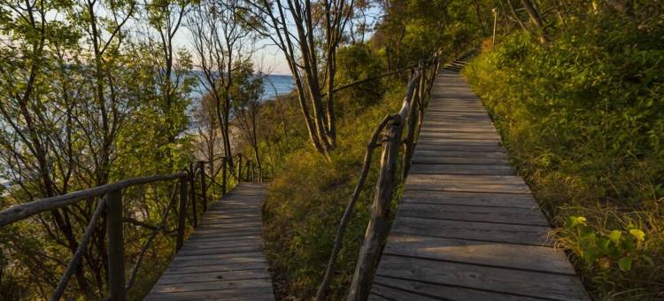 维塔拉玛全景酒店 - 素食全套房(Vita Rama Holistic Hotel - Vegan FB)图片