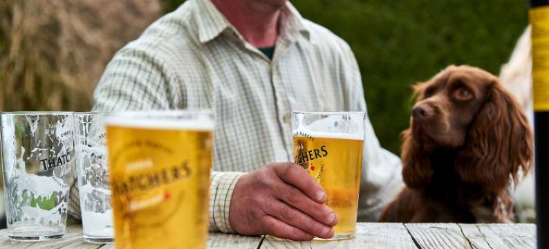 马特莱旅馆(The Martlet Inn)图片