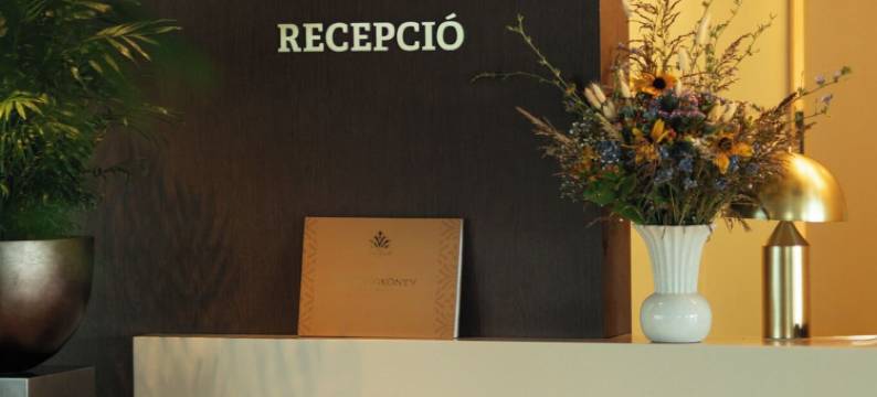 杰拉达斯酒店(Hotel Gerardus)图片