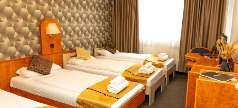 罗西娅酒店(Hotel Rossija)图片