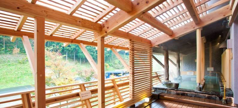 新安比温泉静流阁(Seiryukaku)图片