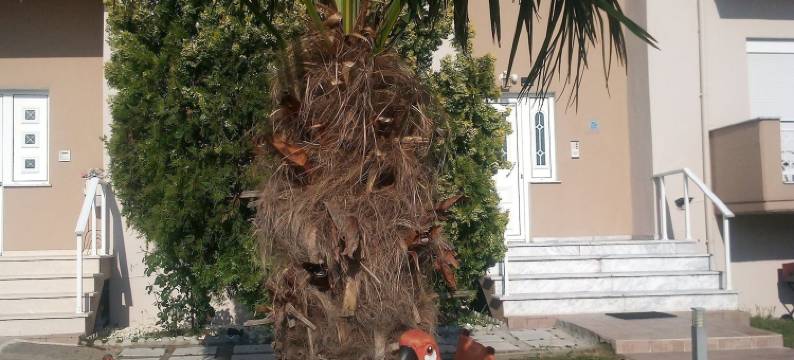 拉史特拉达酒店(Hotel-Apartments la Strada)图片