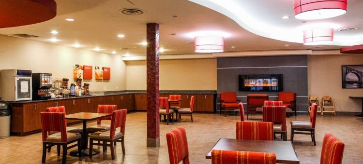 舒适套房酒店-维吉尼亚购物中心(Comfort Suites at Virginia Center Commons)图片