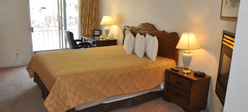 雪松酒店及套房(Cedar Inn & Suites)图片