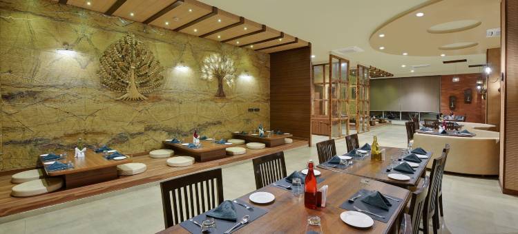 玛鲁迪南丹大酒店(The Maruti Nandan Grand)图片