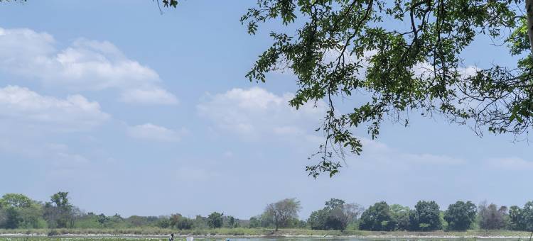 辛纳蒙哈伯拉纳山林酒店(Cinnamon Lodge Habarana)图片