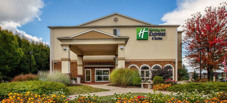 智选假日套房酒店阿伦敦西(Holiday Inn Express & Suites Allentown West)图片