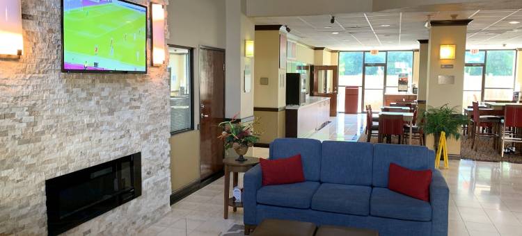 康福特套房布什洲际机场酒店(Comfort Suites Bush InterContinental Airport)图片