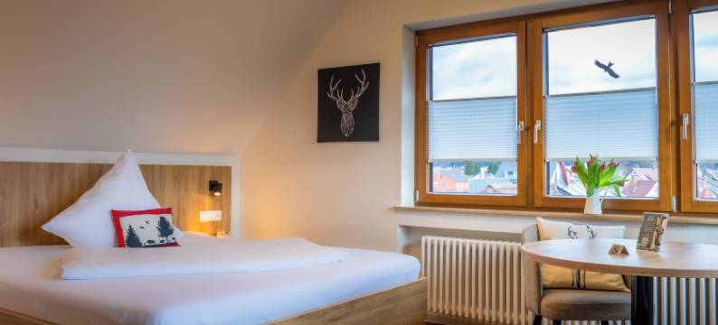 格赫里海尔斯臣斯图比旅馆(Gasthaus Hirschenstube & Gästehaus Gehri)图片