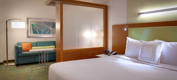 休斯顿i-45北万豪SpringHill酒店(SpringHill Suites Houston I-45 North)图片