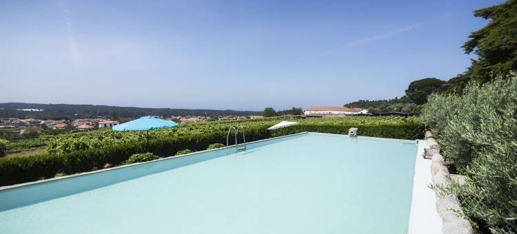 安华金塔柏高酒店(Quinta do Paco d'Anha)图片