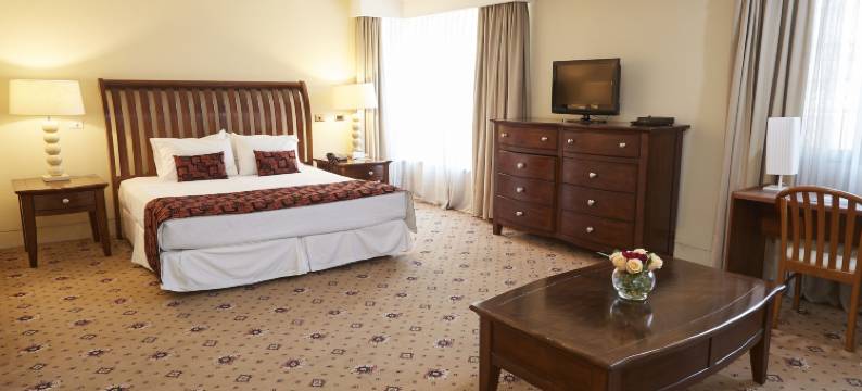 托瑞玛尔里昂酒店(Hotel Torremayor Lyon)图片