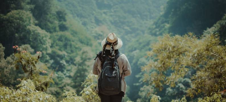 茶屋水疗度假村(Tea Cottage Resort & Spa)图片
