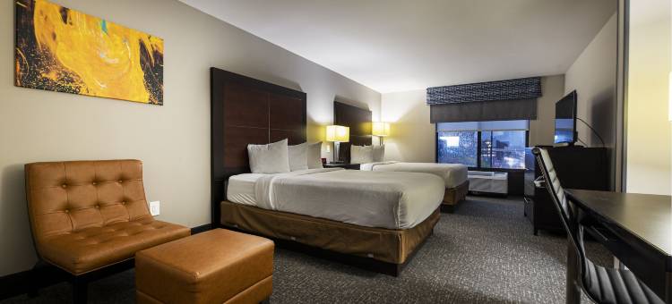 Wingate by Wyndham Atlanta Galleria/Ballpark图片