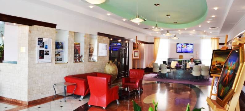 凤凰酒店(Hotel Phoenix)图片