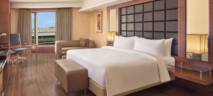 德里机场丽笙世嘉酒店(Radisson Blu Plaza Delhi)图片