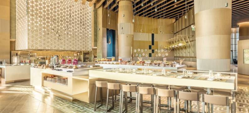 阿尔及尔机场凯悦酒店(Hyatt Regency Algiers Airport)图片