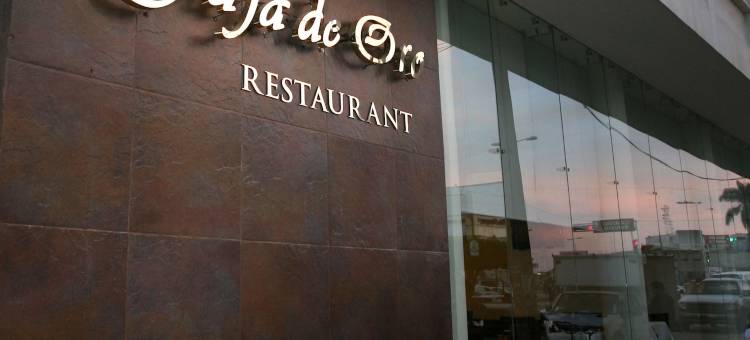 波萨里卡中央酒店(Hotel Poza Rica Centro)图片