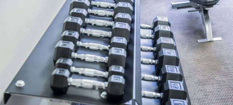 廷利帕尔克I80-近露天剧场-会议中心舒眠酒店(Sleep Inn Tinley Park I-80 Near Amphitheatre-Convention Center)图片